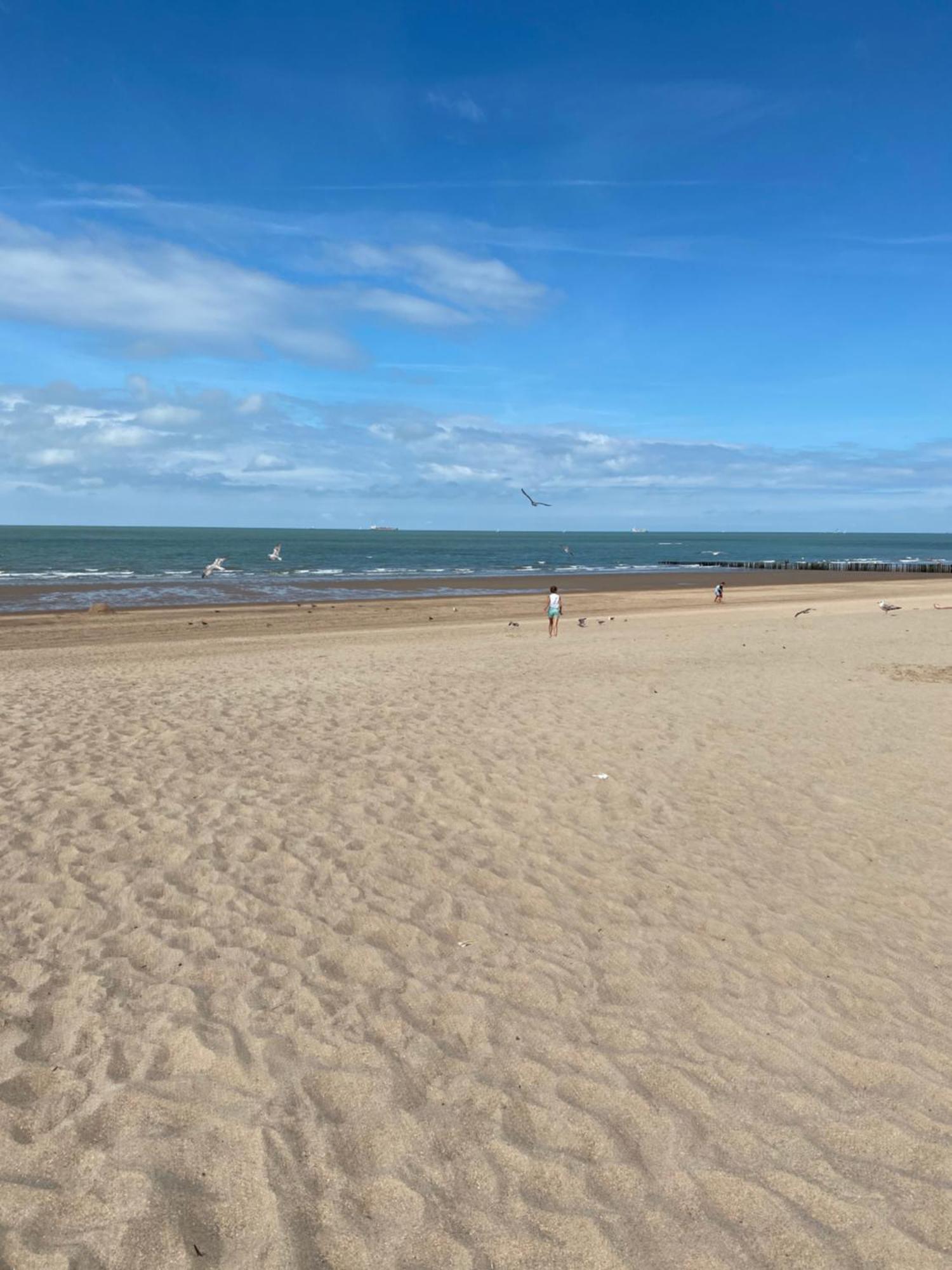 Tof En Ruim Appartement Op 50 Meter Van Strand! Knokke-Heist Buitenkant foto